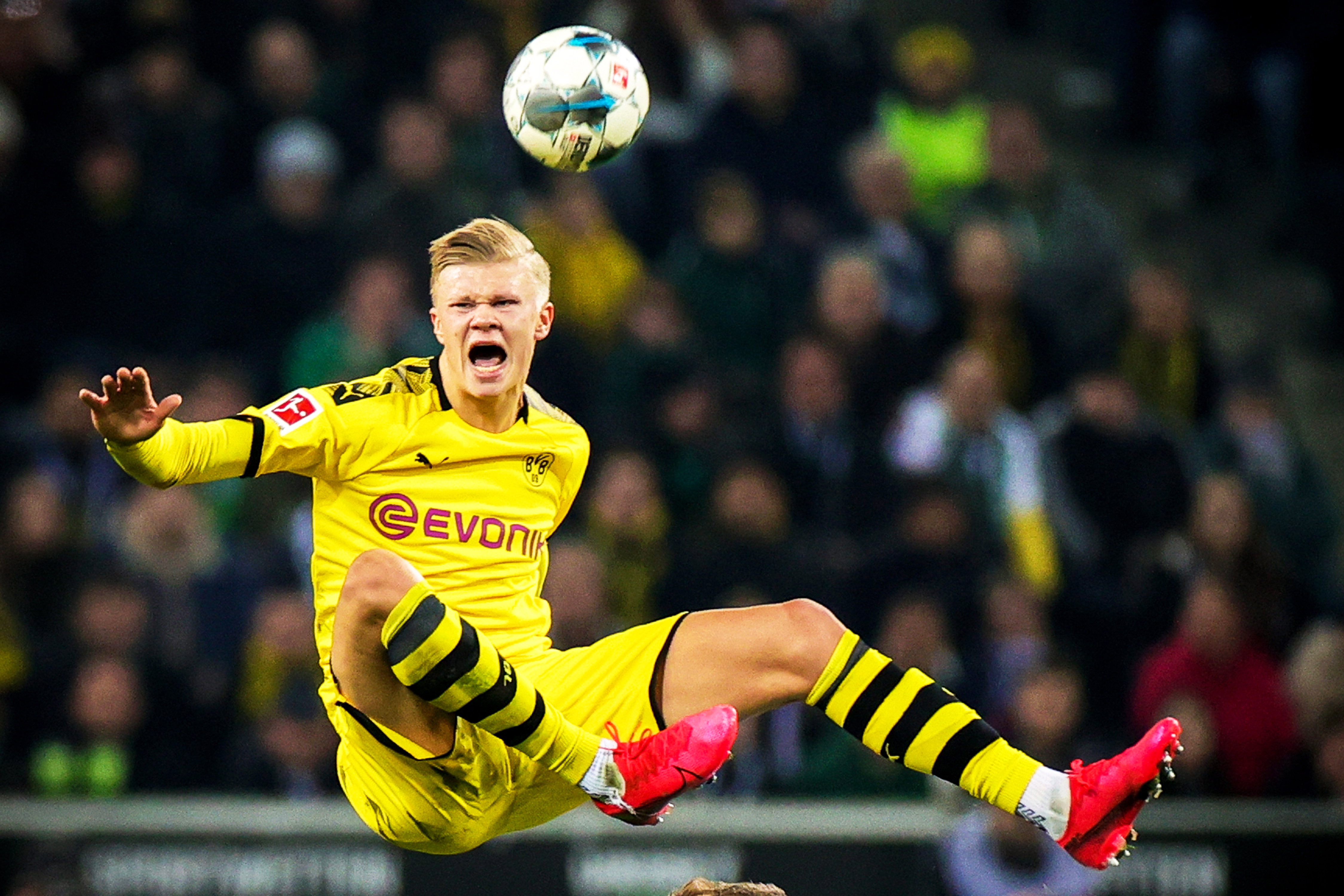 苏太仓的世 苏太仓的世